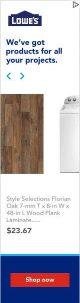 Lowe's Companies campaigns first seen Jan 2025.