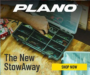 Plano Synergy campaigns first seen Aug 2025.