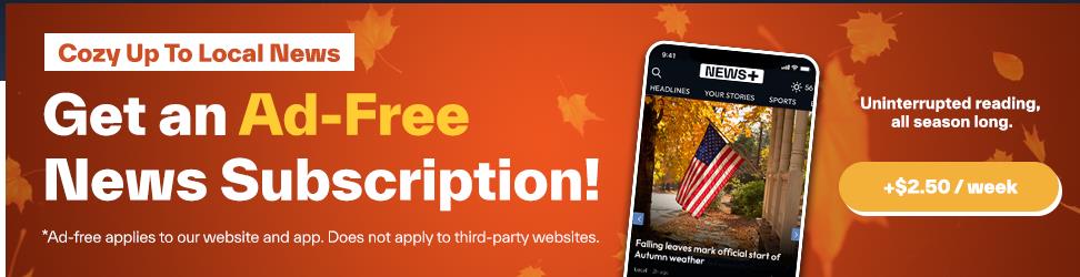 Apple Software campaigns first seen Nov 2025.