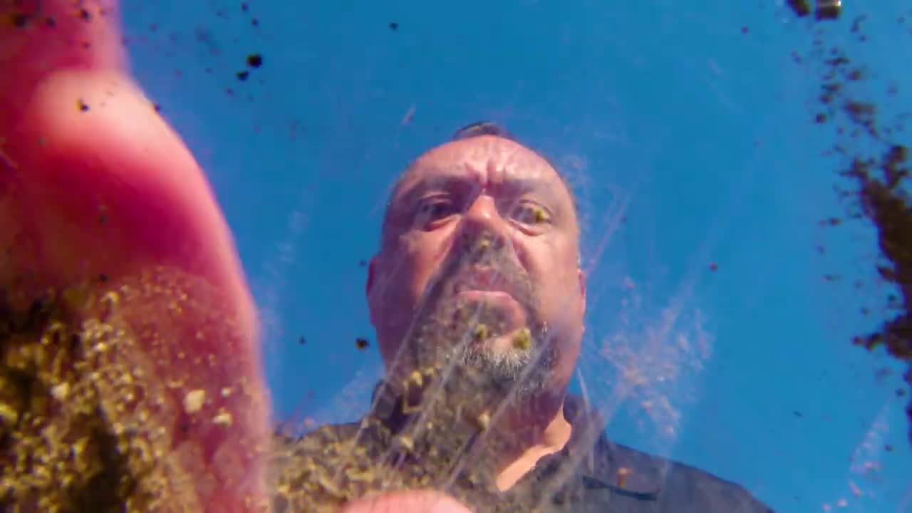 Navistar campaigns first seen Mar 2026.