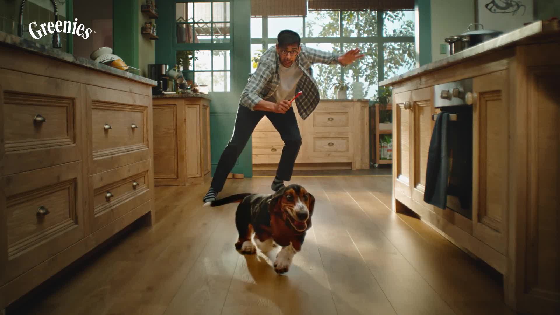 Mars Petcare campaigns first seen Apr 2025.