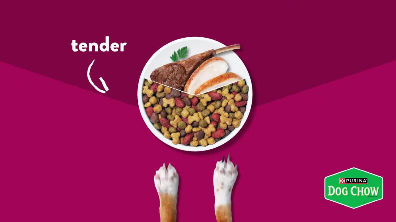 Purina Dogs campaigns first seen Mar 2025.