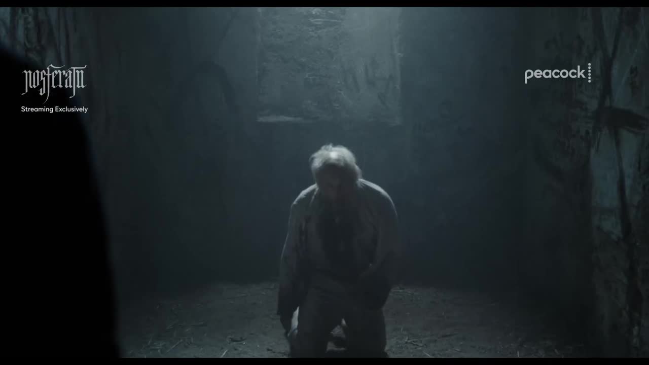 Focus Features campaigns first seen Feb 2025.