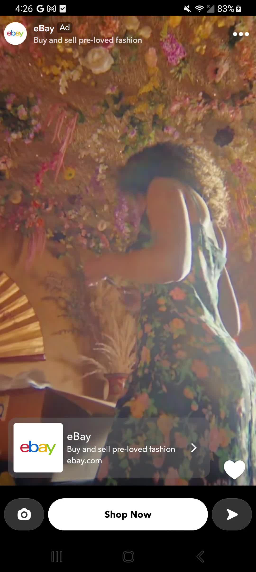 eBay campaigns first seen Feb 2025.