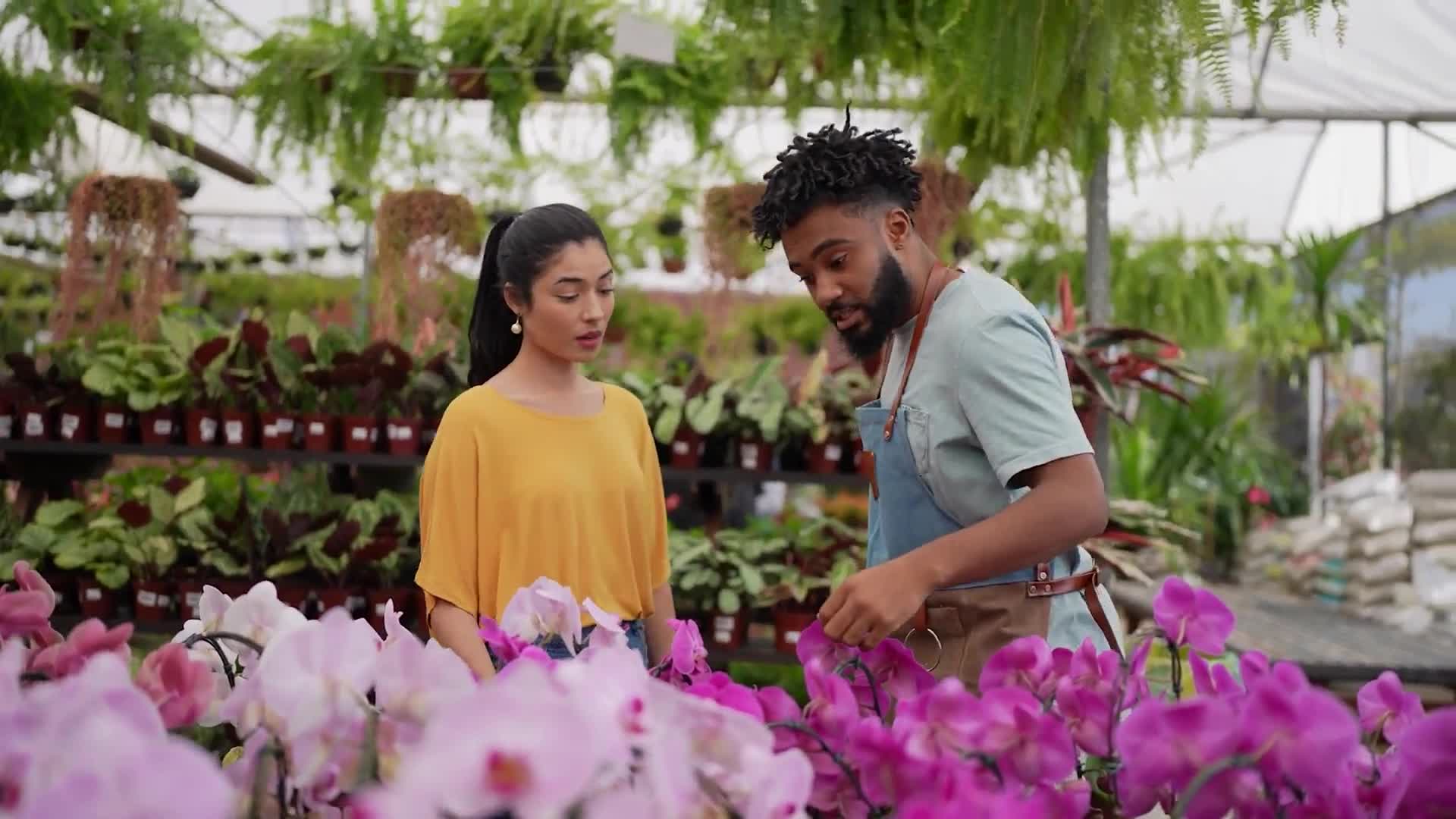 Sinclair Broadcast Group campaigns first seen Oct 2025.