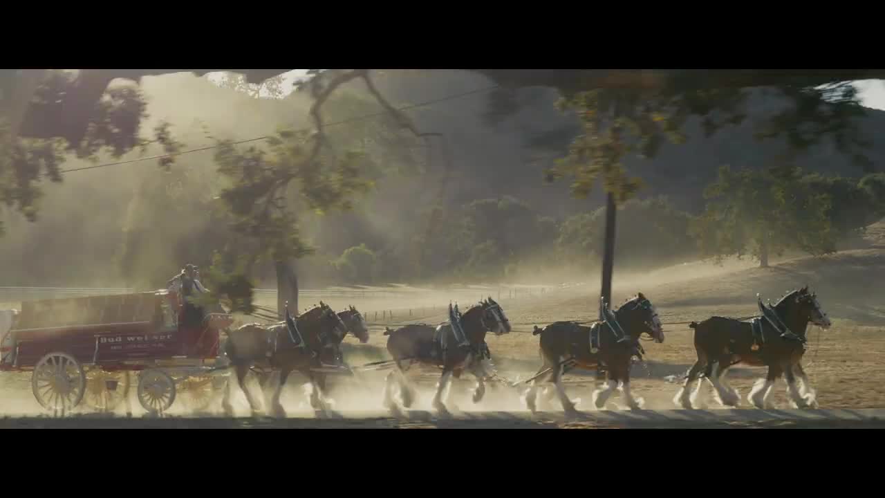 Budweiser campaigns first seen Feb 2025.