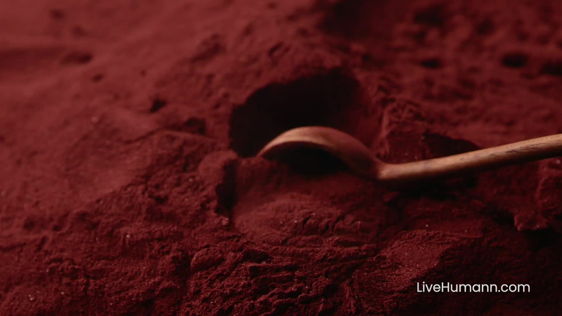 Human Power of N campaigns first seen Dec 2024.