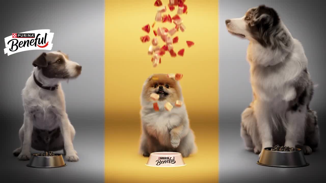 Purina Beneful campaigns first seen Mar 2026.