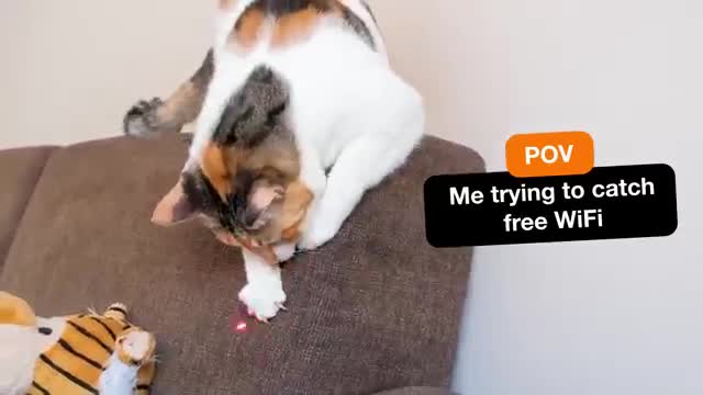 Orange campaigns first seen Jul 2025.