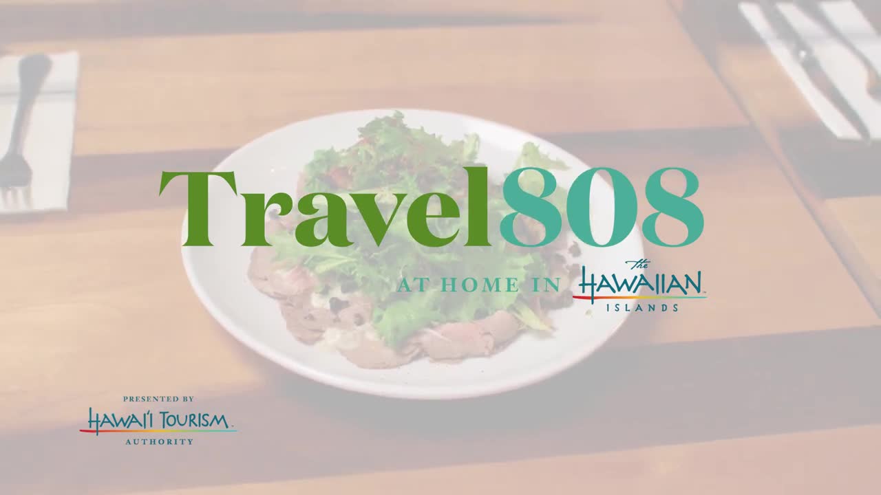 Hawaii Visitors & Convention Bureau campaigns first seen Mar 2025.