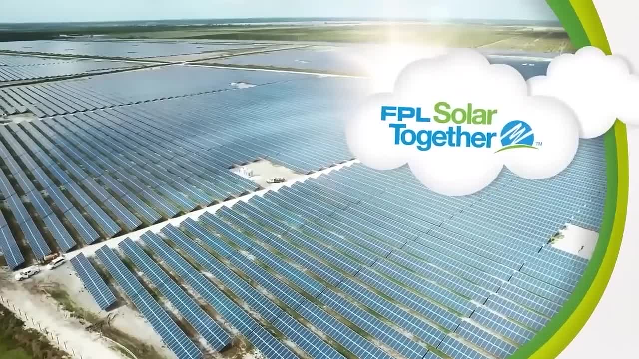 Live Nation Entertainment campaigns first seen Nov 2024.