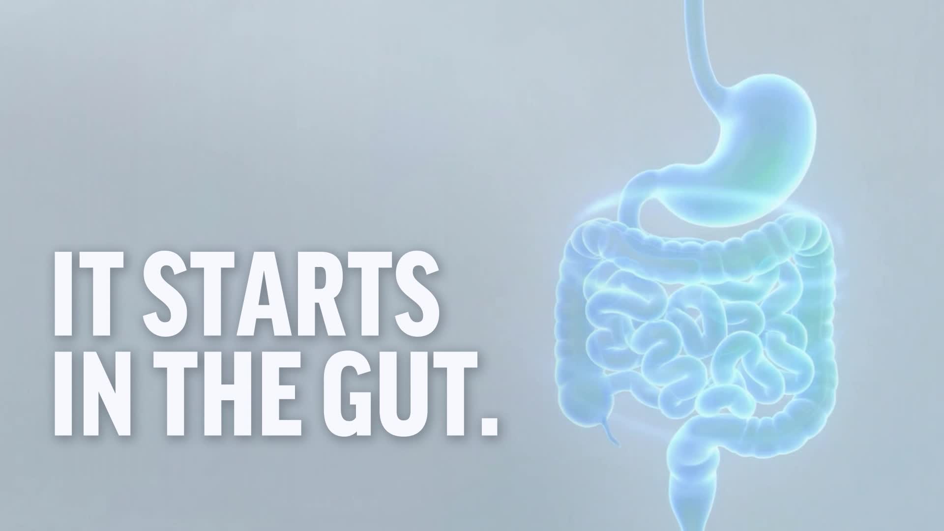 Force Factor campaigns first seen Feb 2026.