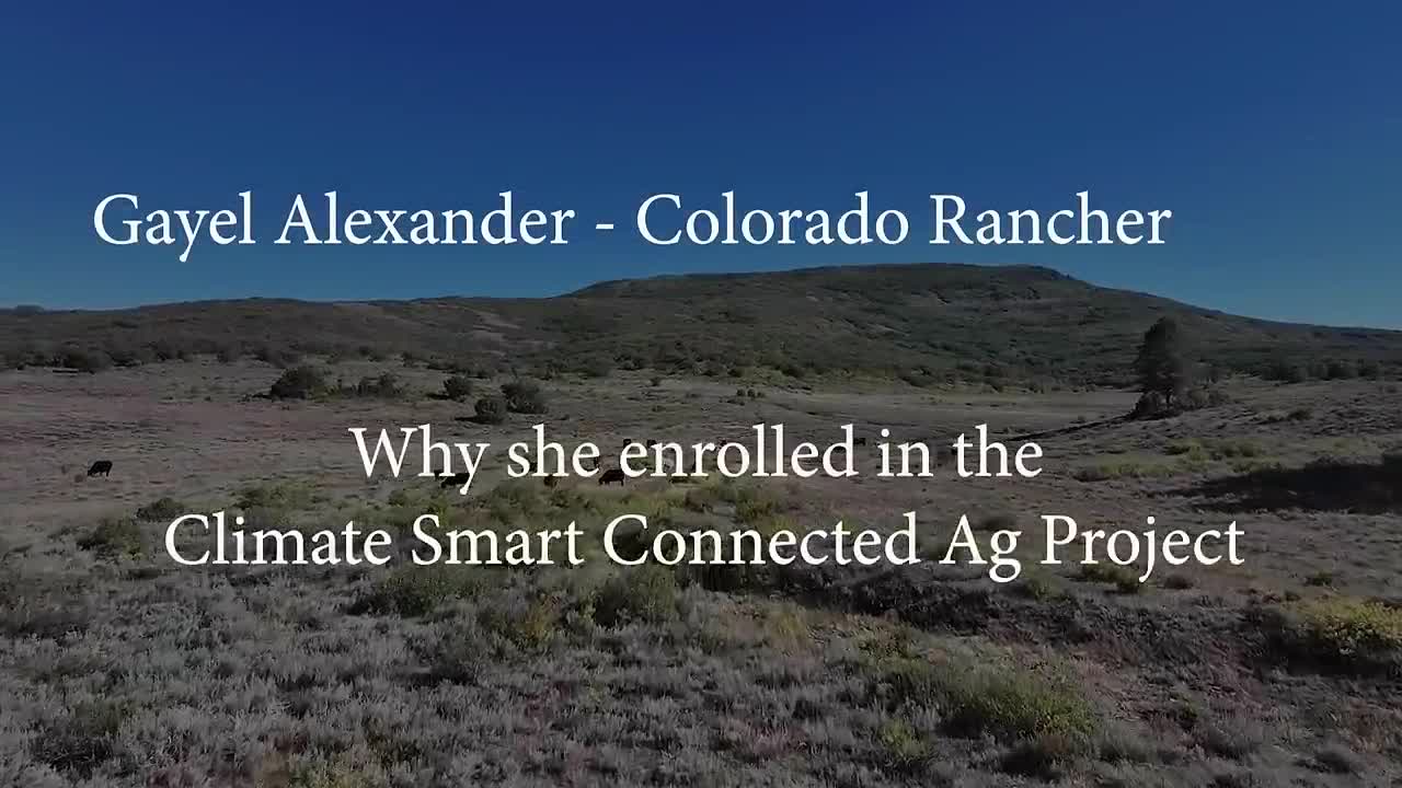 Farm Journal campaigns first seen Nov 2024.