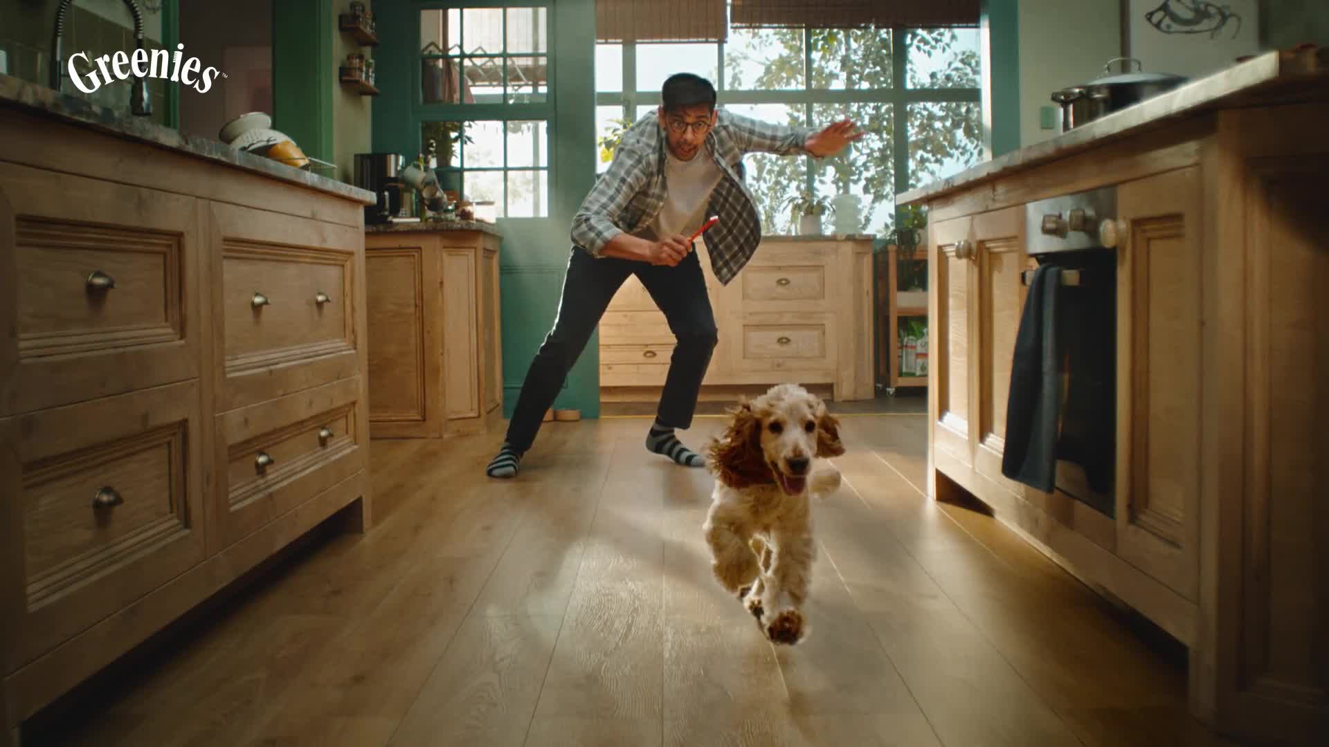 Greenies campaigns first seen Apr 2025.