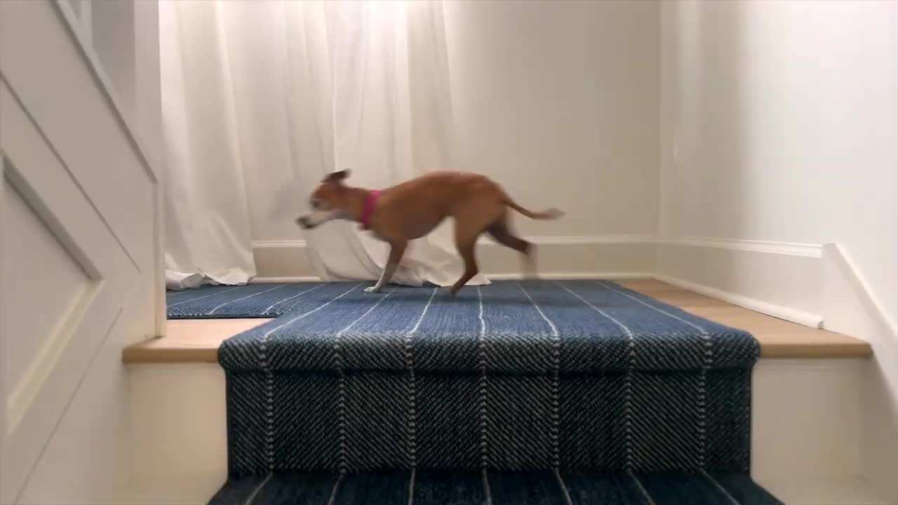 SEB campaigns first seen Apr 2025.