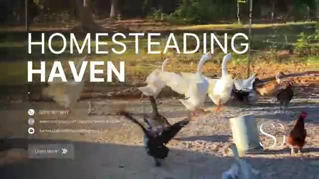 Vector Group campaigns first seen May 2025.