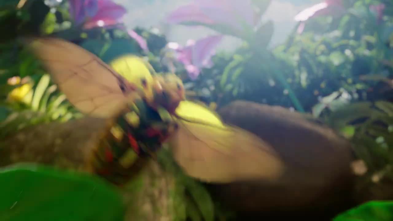 Nature's Way Brands campaigns first seen Jan 2025.