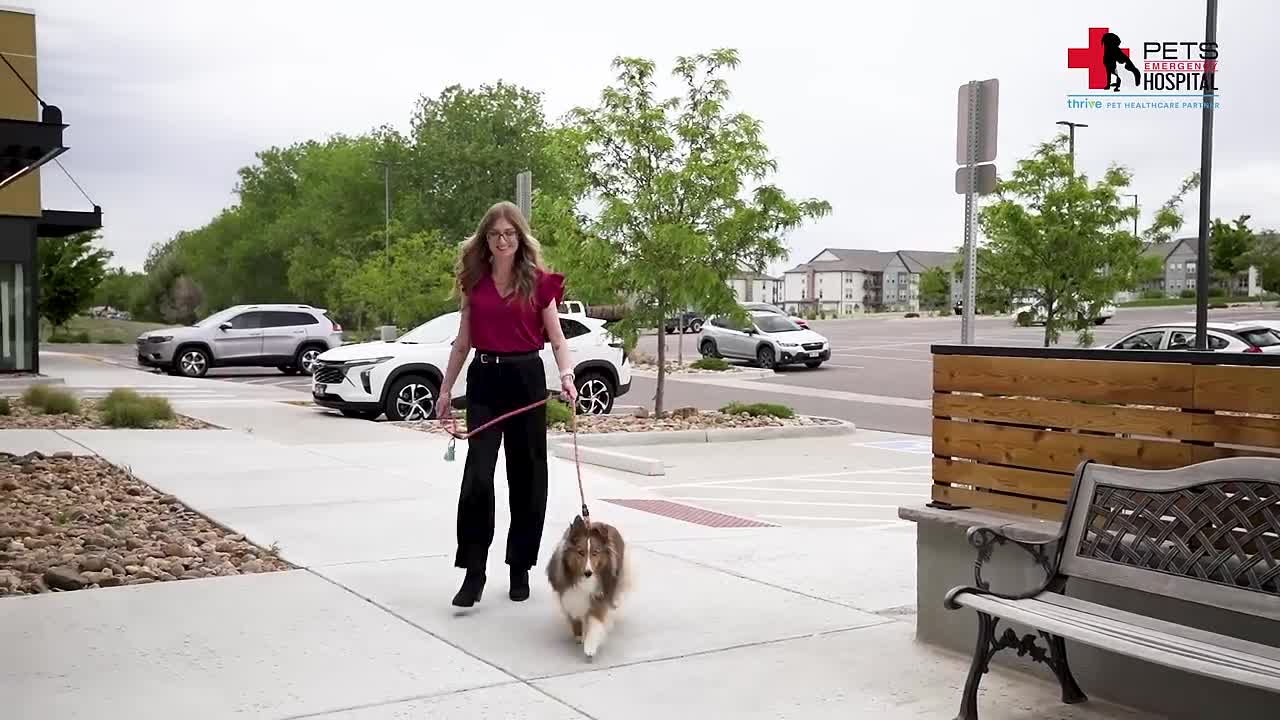 PetCo campaigns first seen Oct 2025.