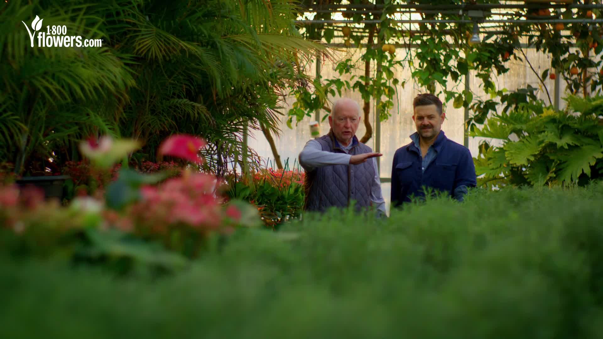 1-800-Flowers.com campaigns first seen Apr 2025.