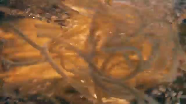 Arla Foods Amba campaigns first seen Jun 2025.