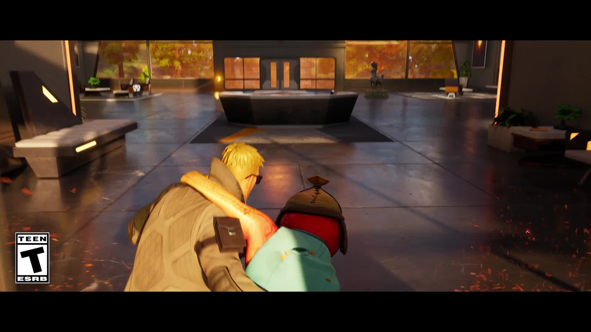 Video