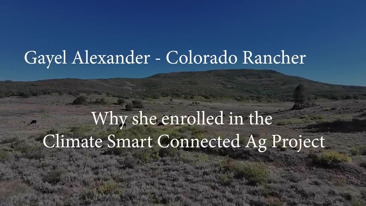 Farm Journal campaigns first seen Nov 2024.