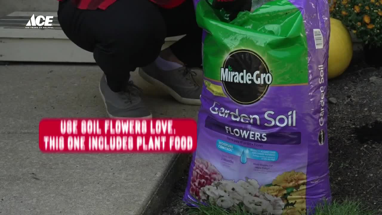 Ace Hardware campaigns first seen Mar 2025.