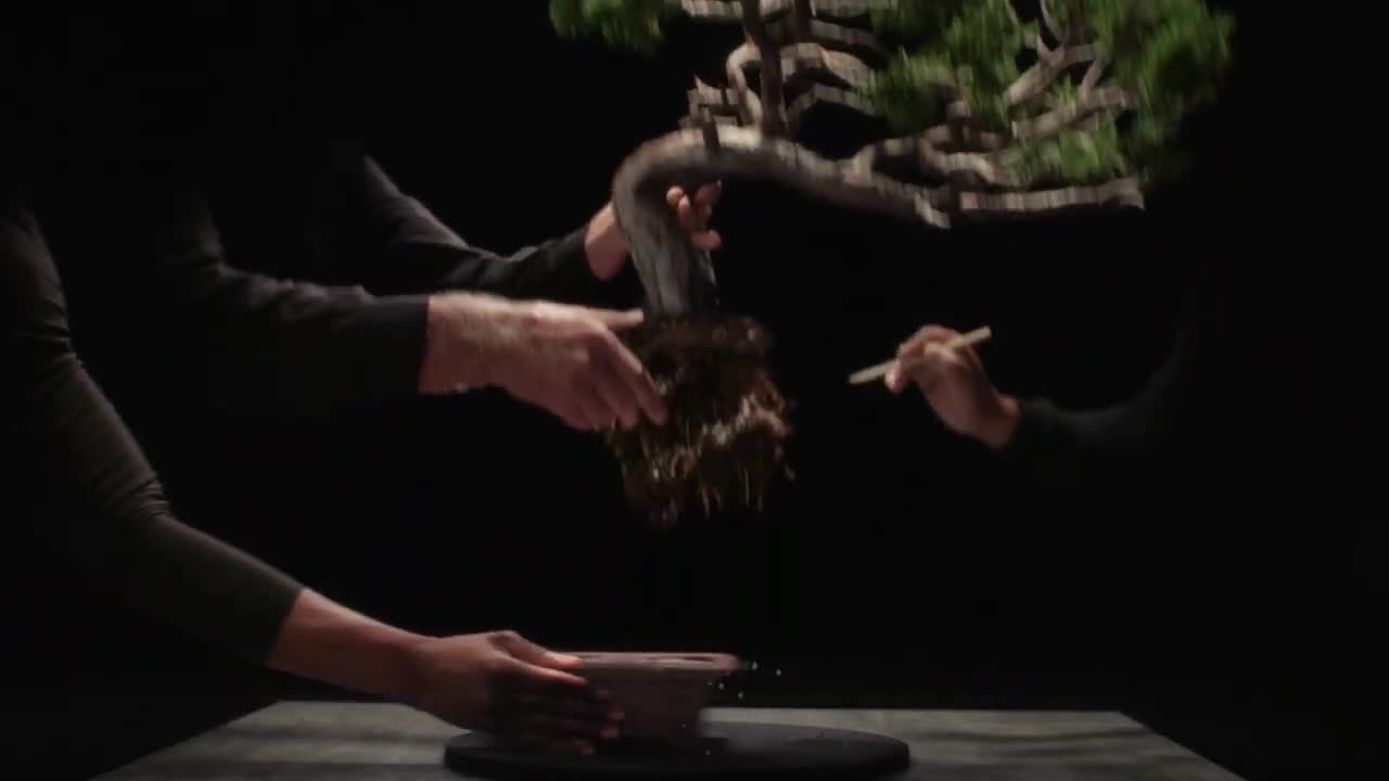 Video