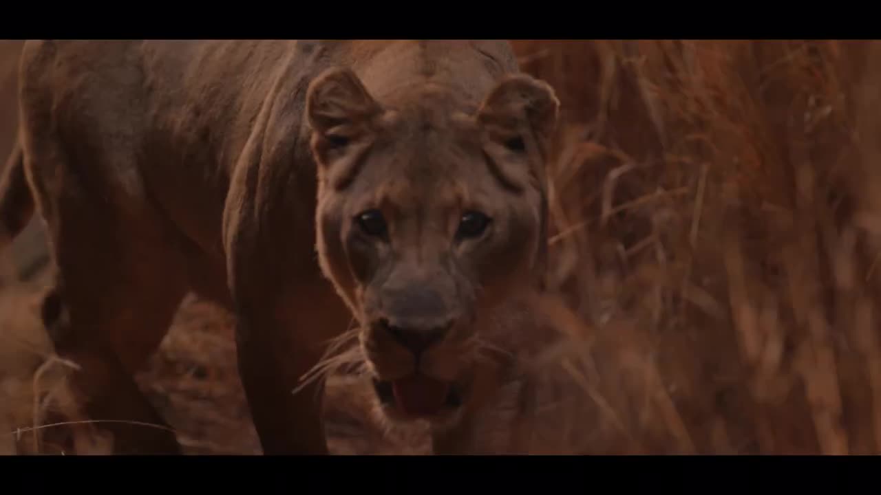 Burberry Fragrances campaigns first seen Apr 2025.