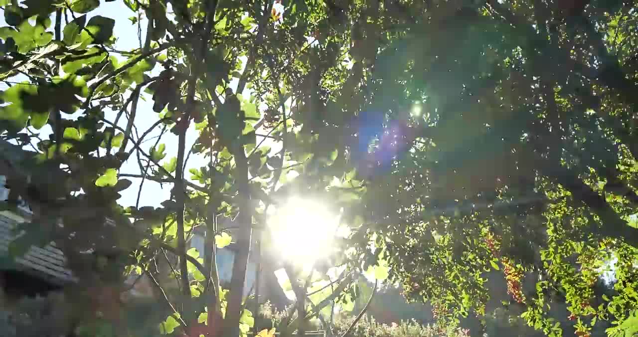 Tux Wholesale Services campaigns first seen Nov 2024.