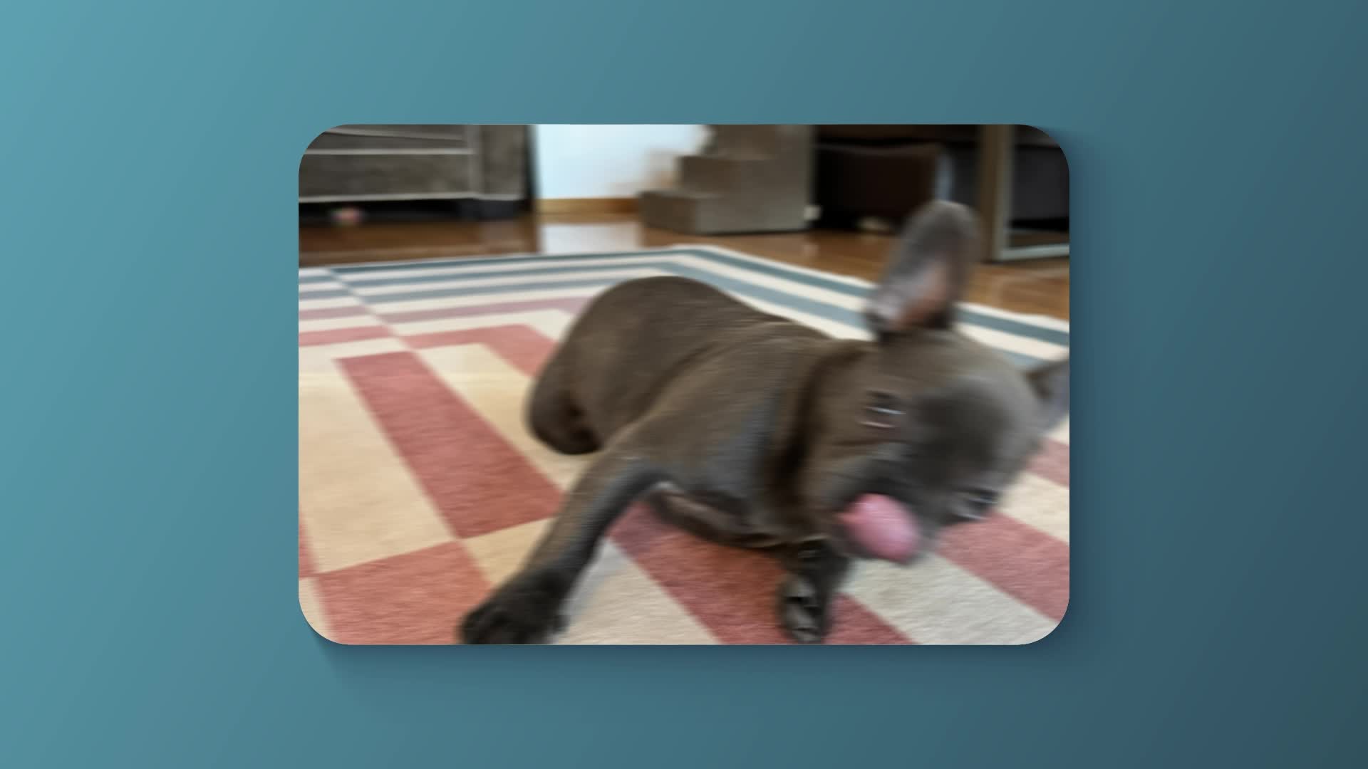 Amazon Prime campaigns first seen May 2025.