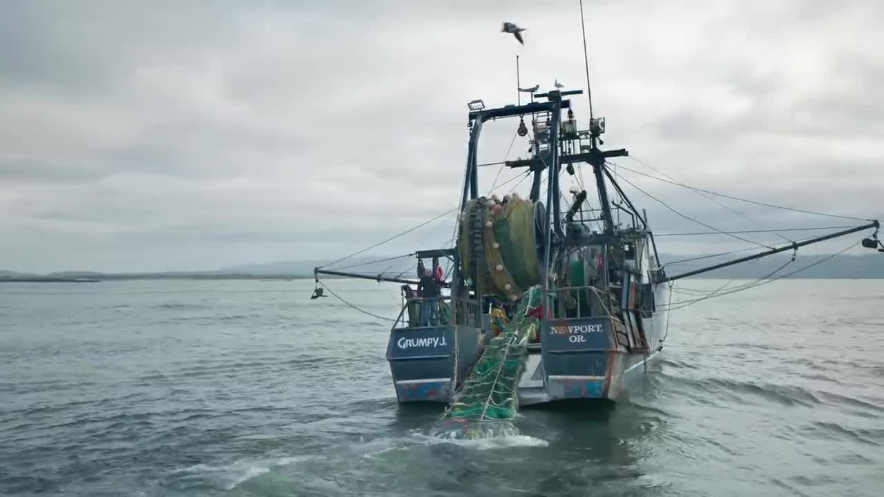 H-E-B campaigns first seen Feb 2025.